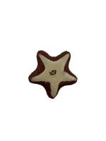 Assorted Fake Cookie Magnets – Realistic star-shaped cookie magnet with chocolate and cream details.